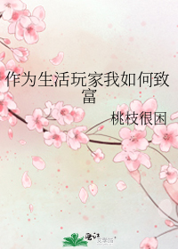 作为生活玩家我如何致富