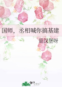 国师,丞相喊你搞基建