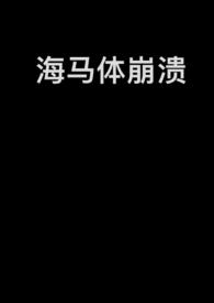 海马体崩溃NP